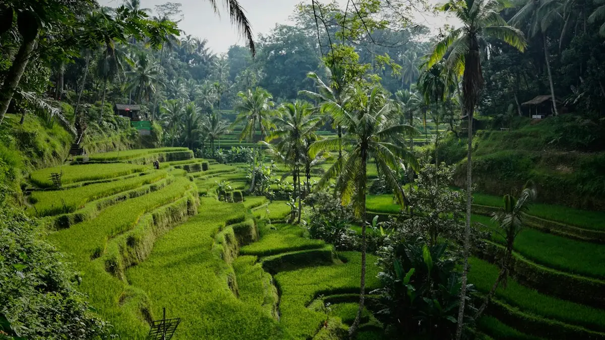 Voyage bali aout : carte voyage bali